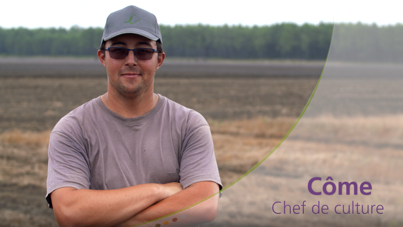 Chef de culture